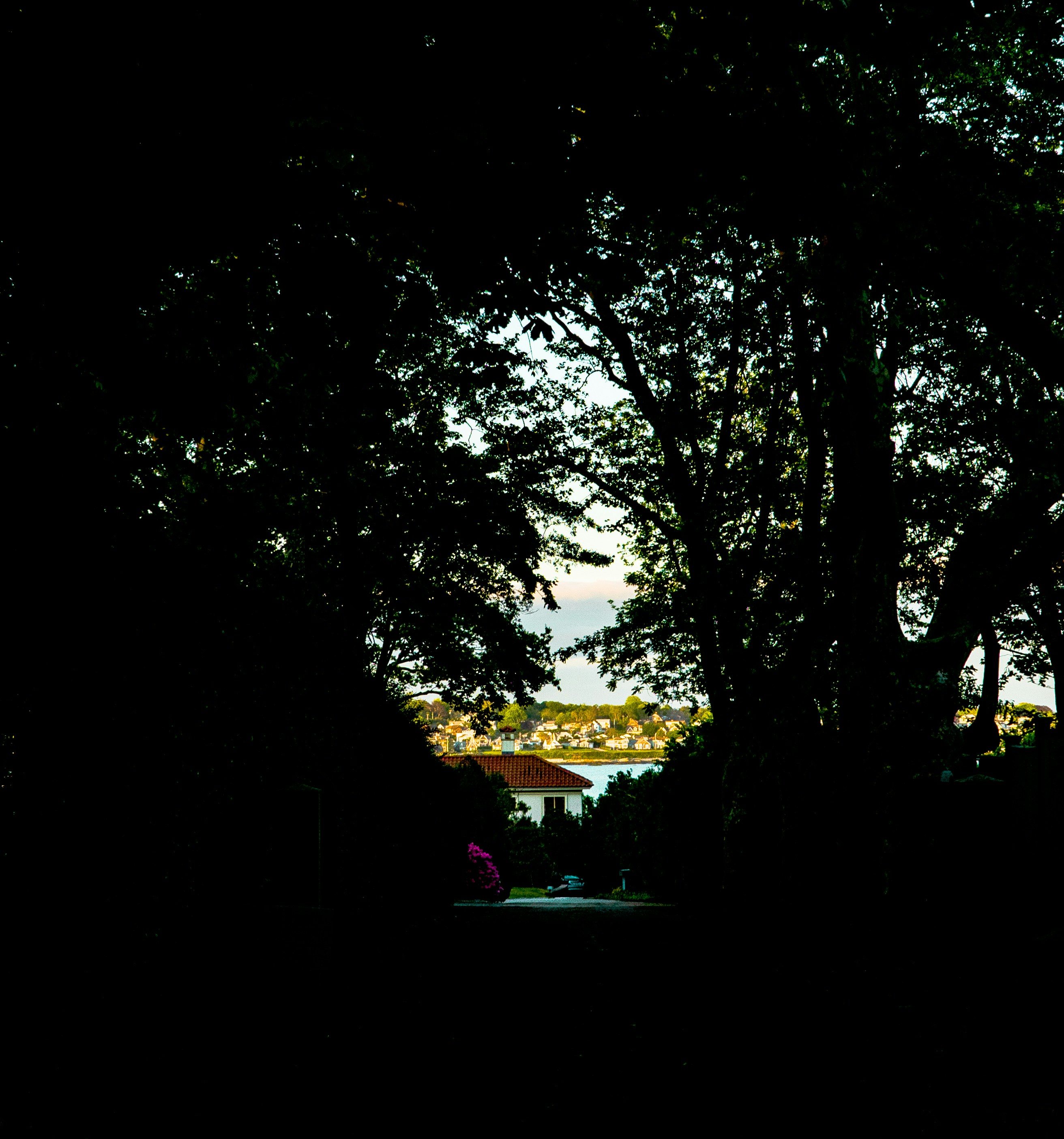 a view of a park through some trees