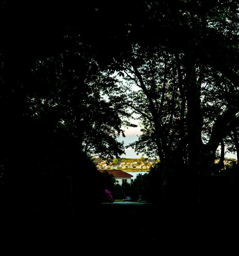 a view of a park through some trees