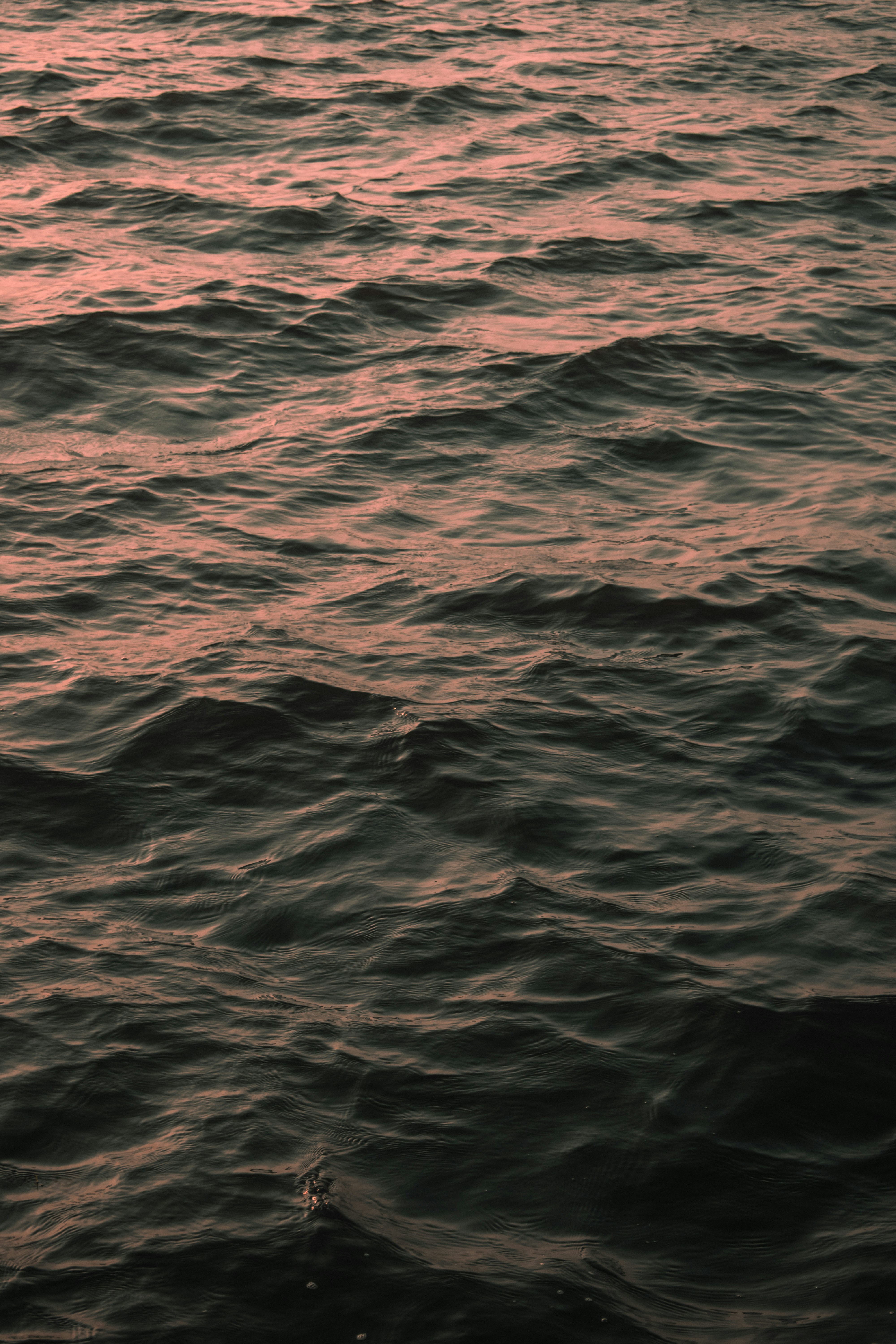 Photo by soumulsaman