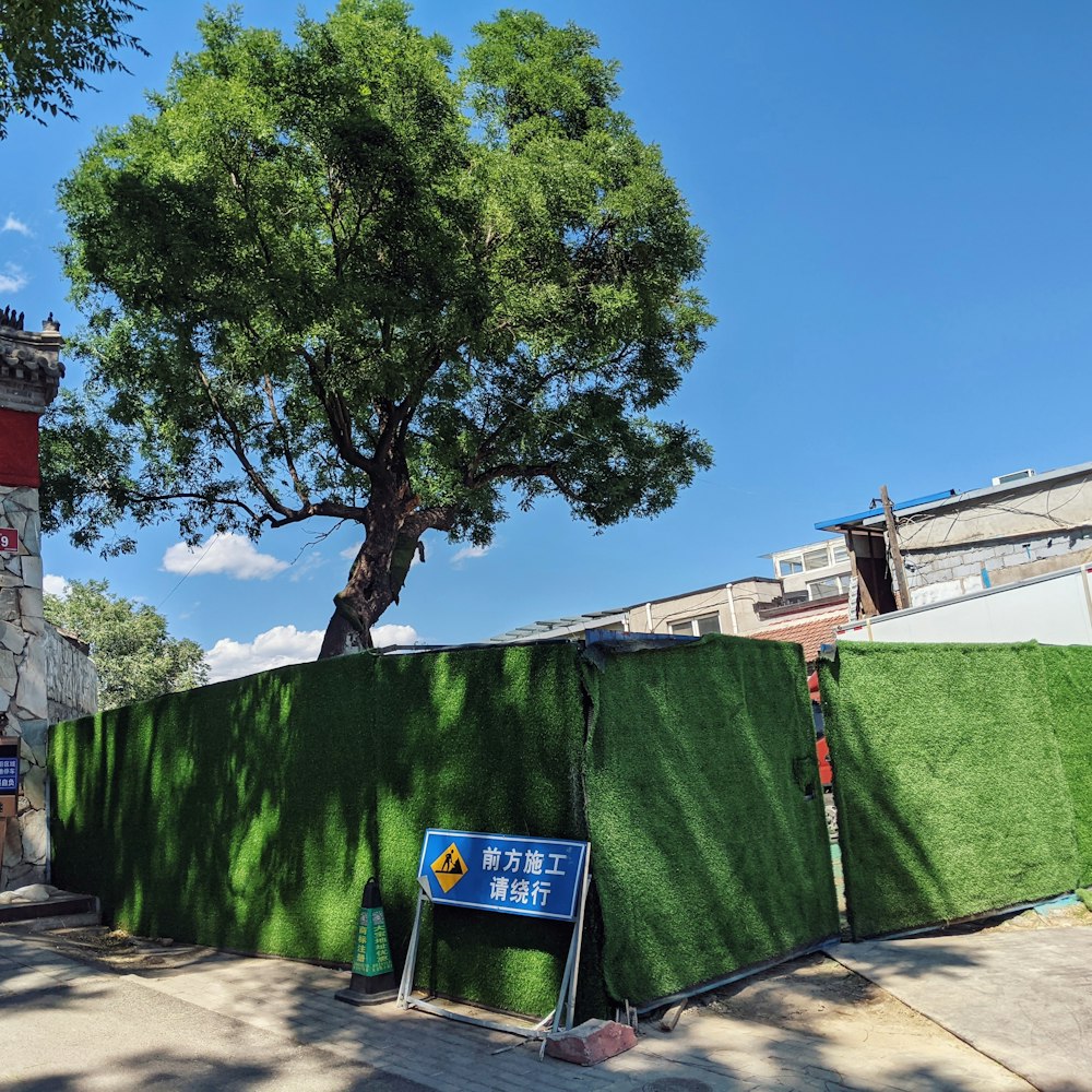 a green fence with a tree in the background