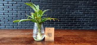 A green plant with long leaves is placed in a transparent glass vase filled with water, sitting on a wooden table. There is a small card with a QR code and some text next to it. The background features a black brick wall.