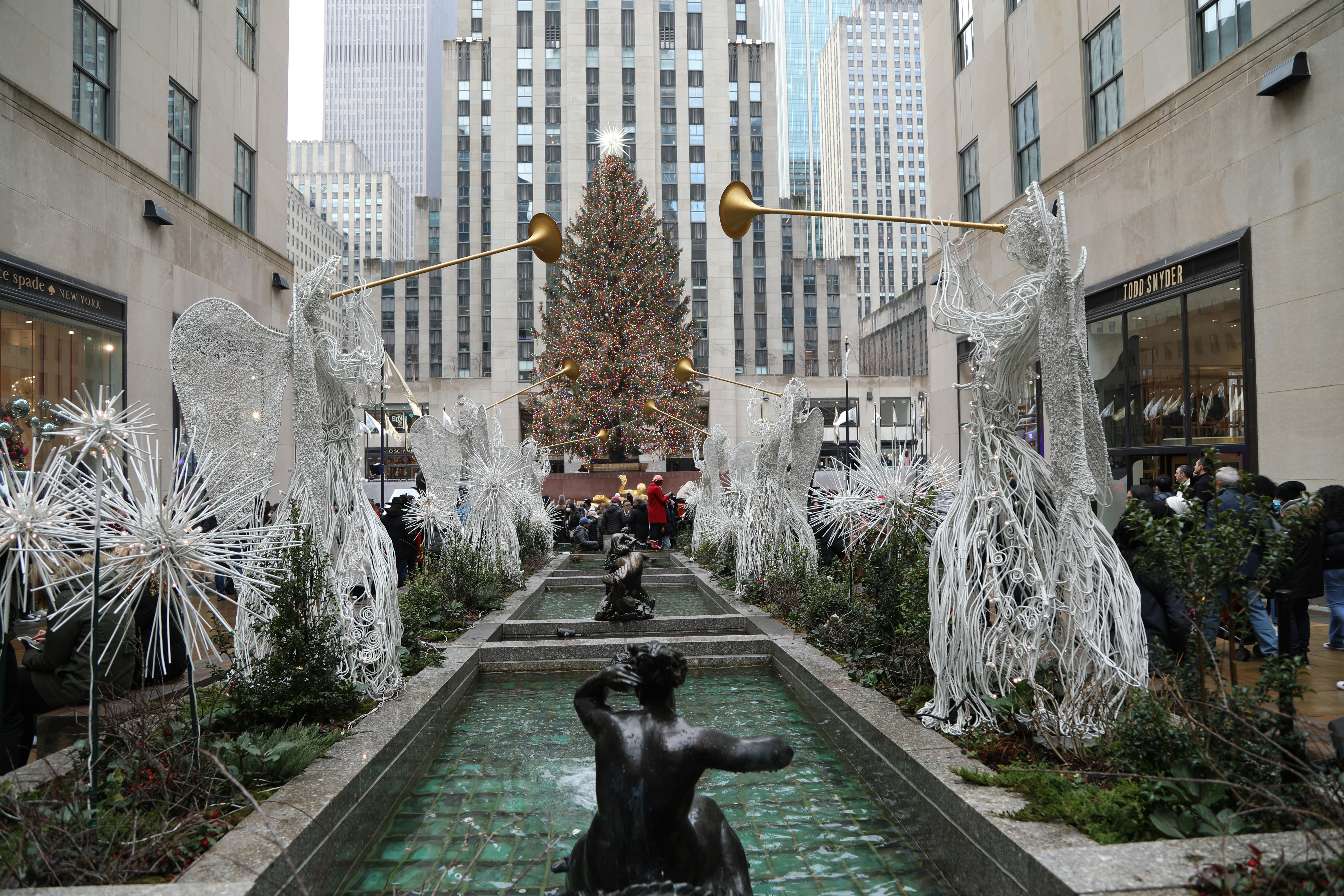 Un árbol de Navidad en medio de una ciudad