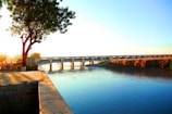 a bridge over a body of water with a tree in the foreground