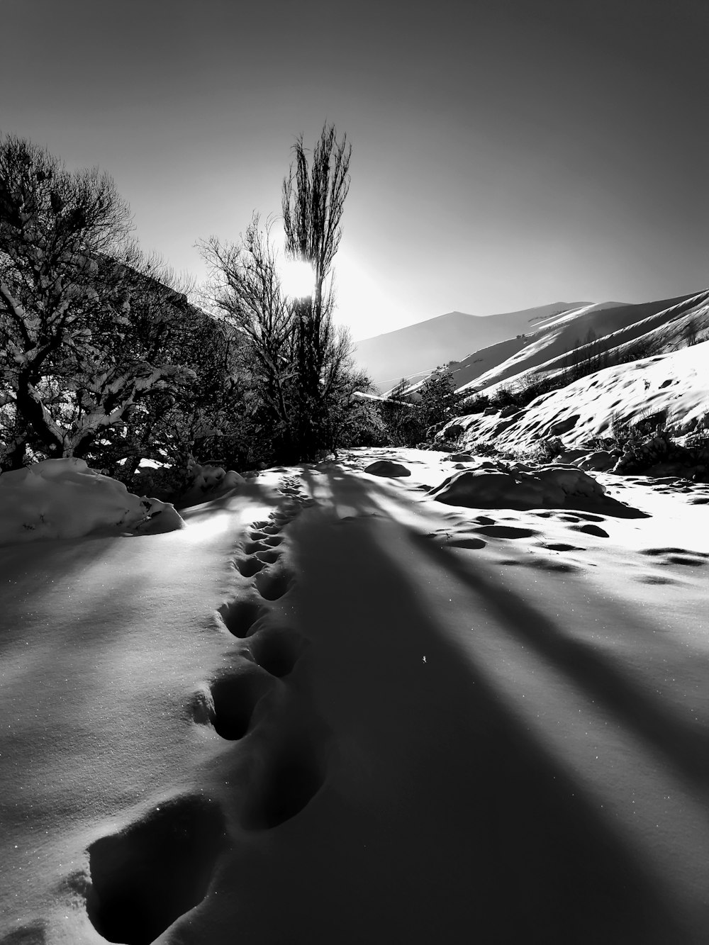 a black and white photo of a path in the snow