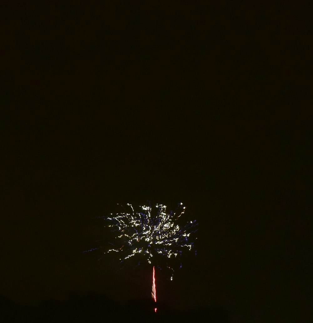 a fireworks is lit up in the night sky