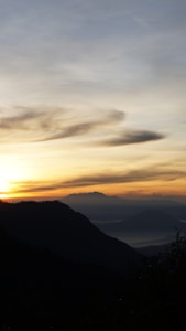 Rise to Your Potential