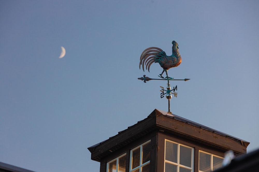 a rooster weather vane on top of a roof