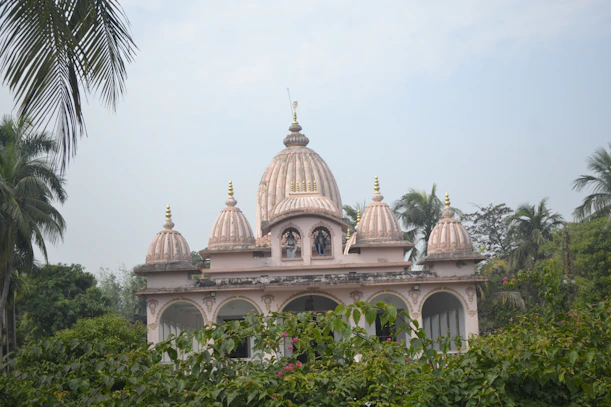 a building with a dome on top surrounded by trees
