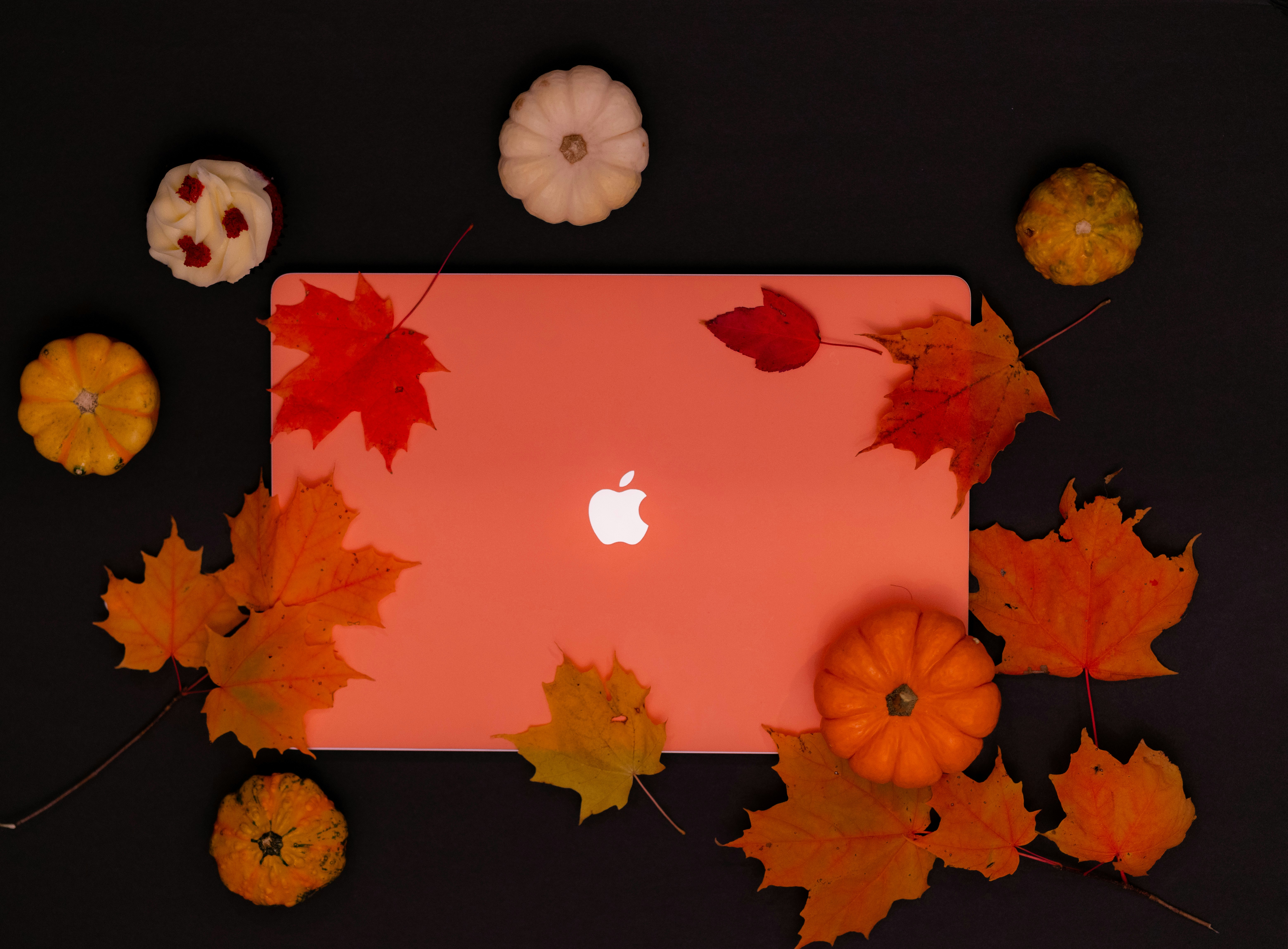 AdGuard VPN for Mac v2.8: Smoother connections, smarter foundation