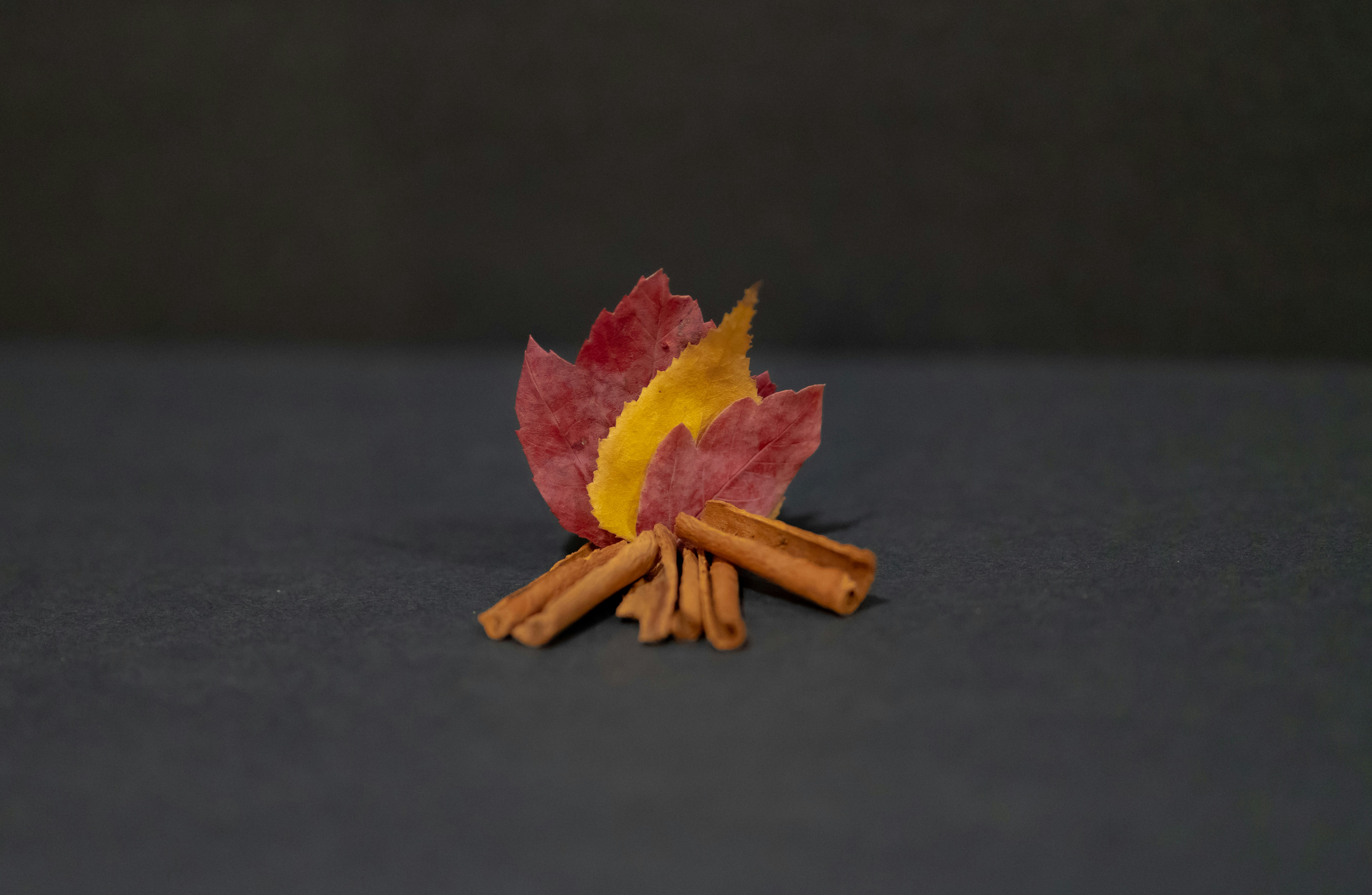 fall wallpaper aesthetic, wallpaper, Easy Fall Crafts for Adults: Creative Autumn Ideas 6