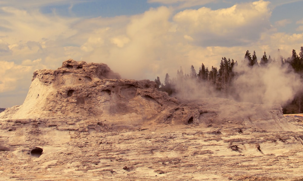 steam rises from a geyser near a forest