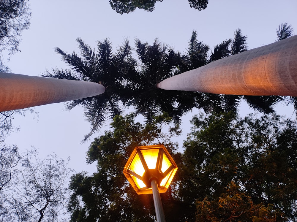 a street light with trees in the background