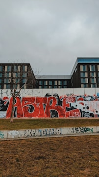 A building with multiple windows serves as the backdrop for a vibrant graffiti-covered wall. The graffiti features bold red, black, and white colors with various tags and names. In the foreground is a grassy area with some graffiti on a low wall.