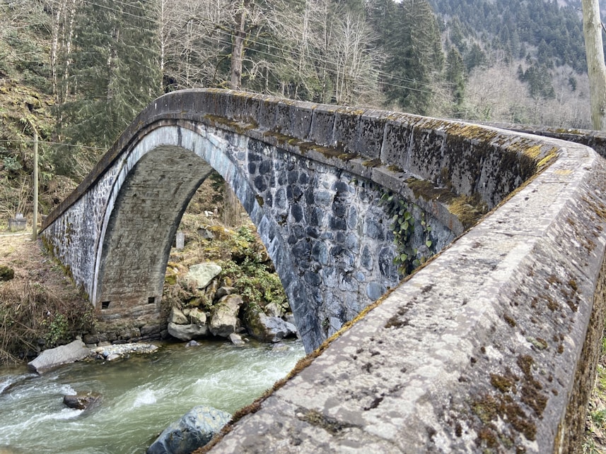 a stone bridge over a stream in a forest