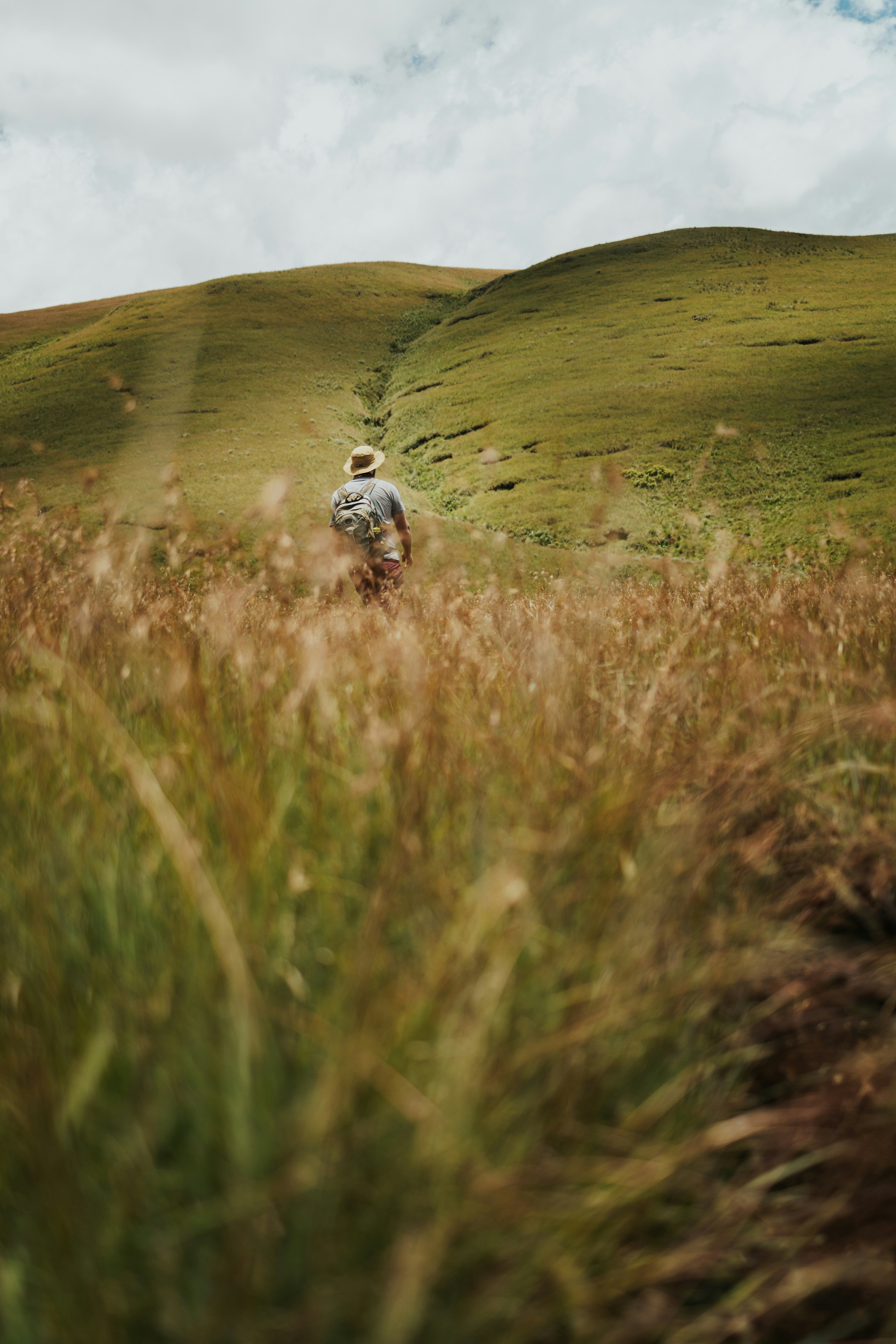 a man walking through a field of tall grass