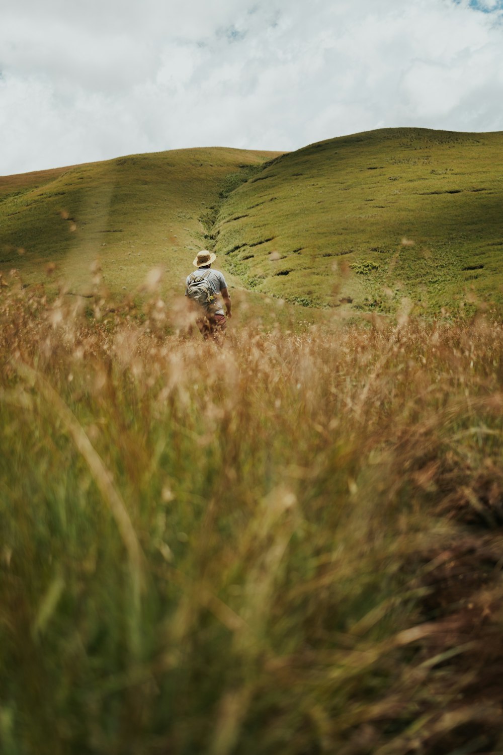 a man walking through a field of tall grass