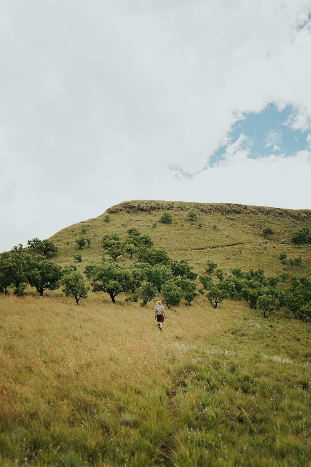 a person walking in a field with a hill in the background