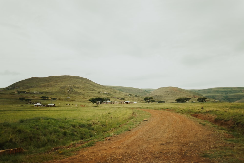 a dirt road in the middle of a grassy field