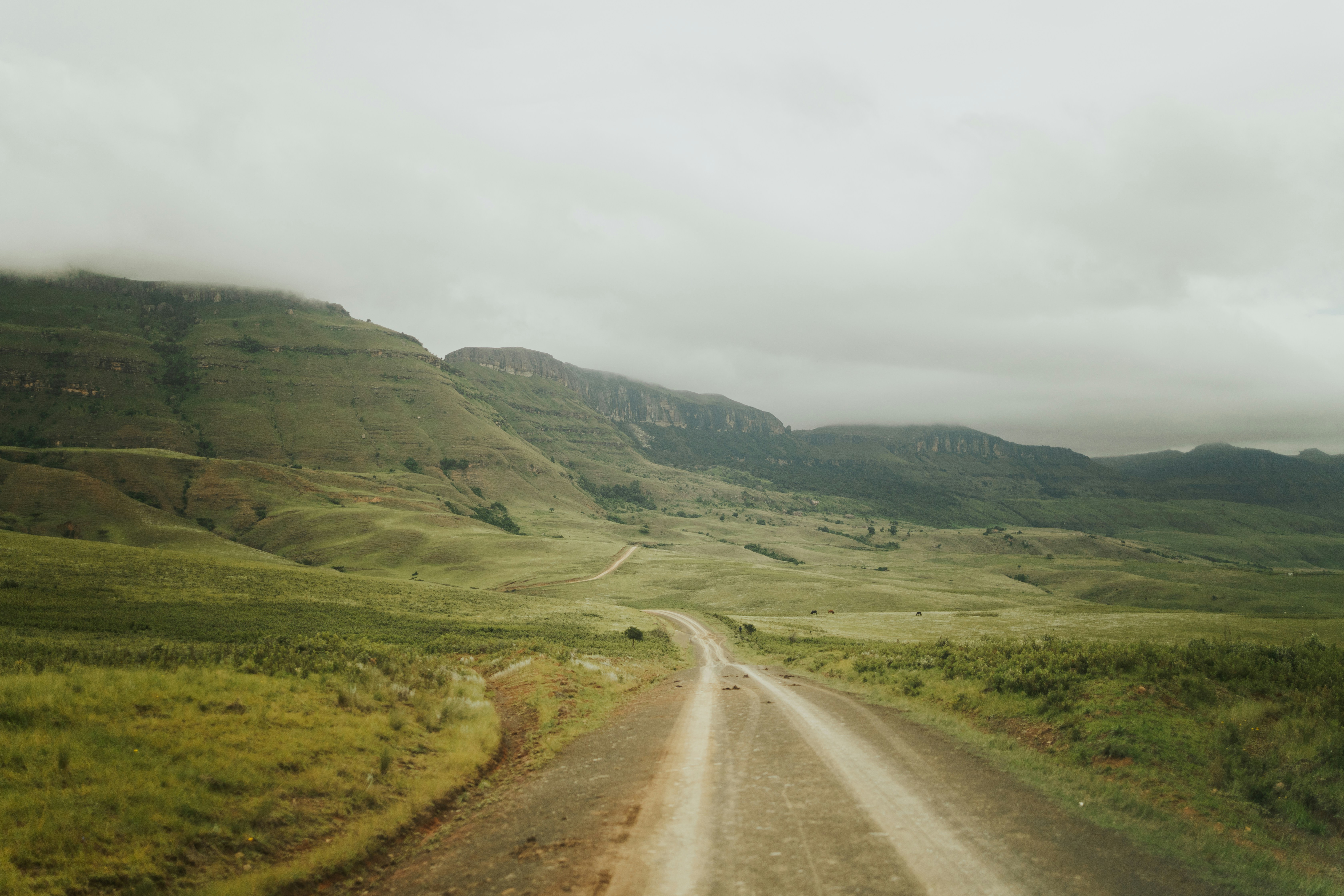 Photo by melissaleigh