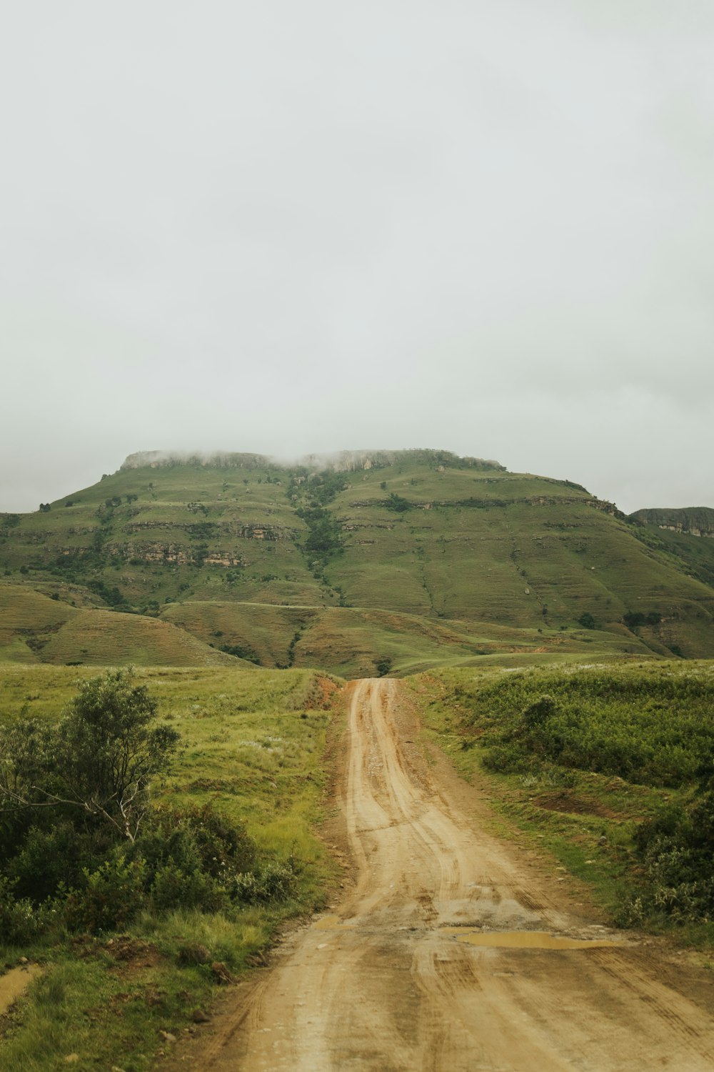 a dirt road with a hill in the background