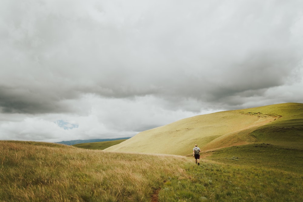 a person walking down a path in a field