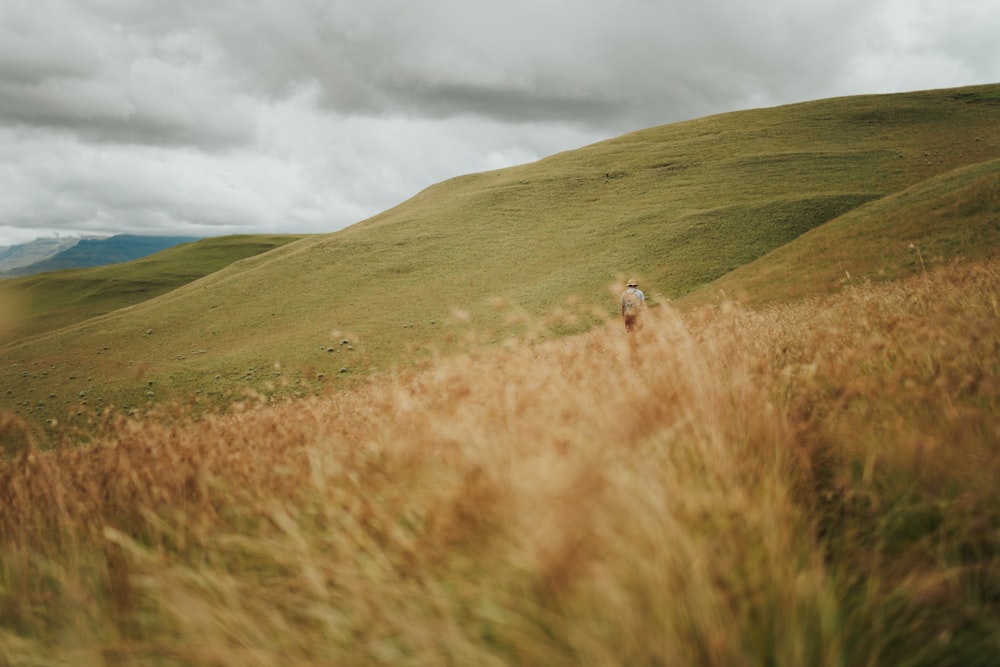 a person walking through a grassy field on a cloudy day