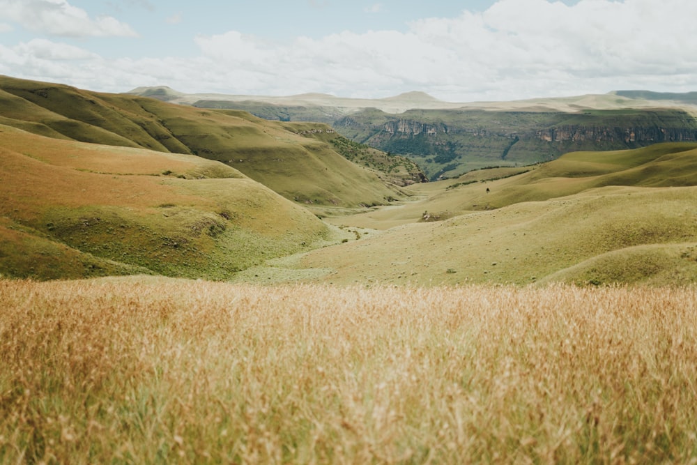 a view of a grassy valley with mountains in the background