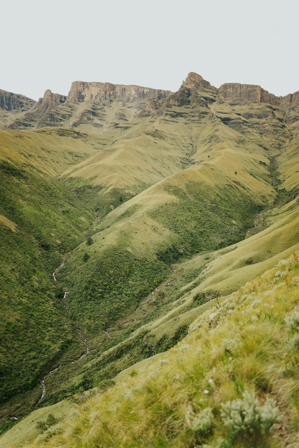 a view of a valley with a mountain in the background