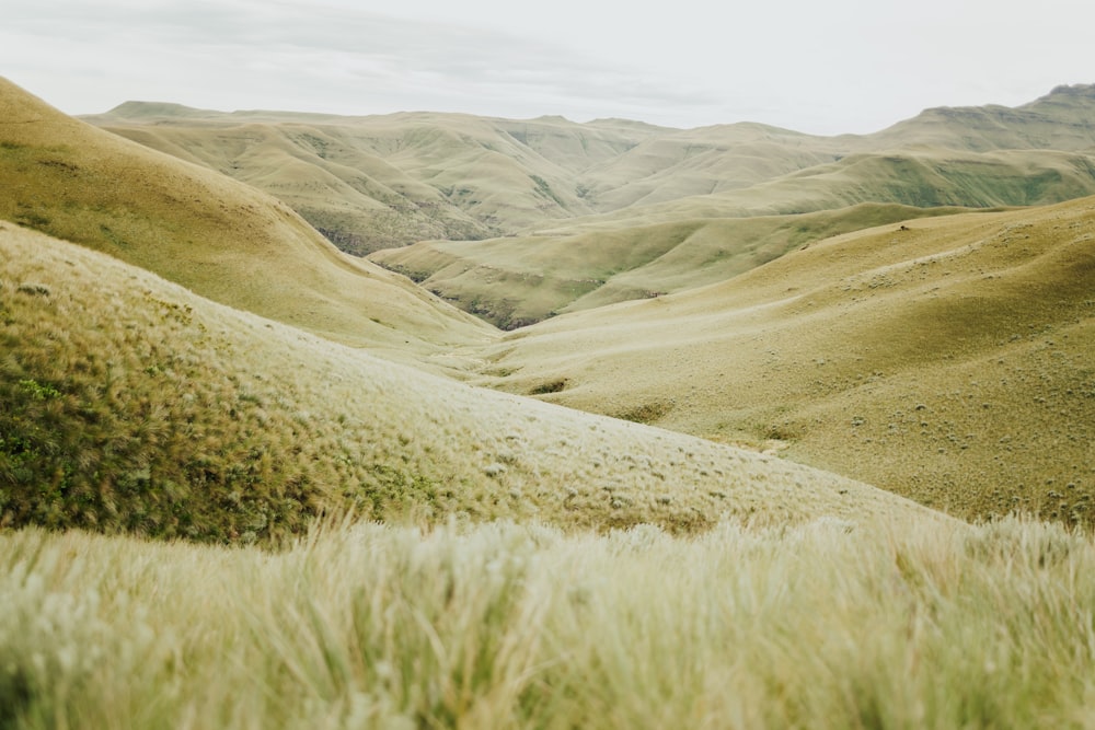 a view of a grassy valley with mountains in the background