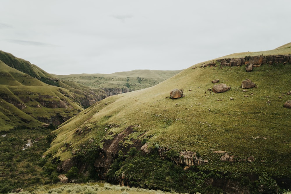 a lush green hillside covered in lots of grass