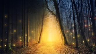 A mystical forest pathway bathed in glowing golden light. Tall trees line both sides, fading into shadow. Small twinkling lights, resembling fireflies, are scattered throughout the scene, adding a magical ambiance.