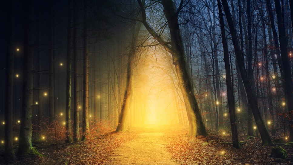 A mystical forest pathway illuminated by soft, ethereal light.