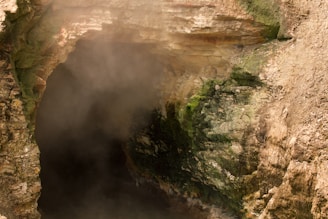 a close up of a rock