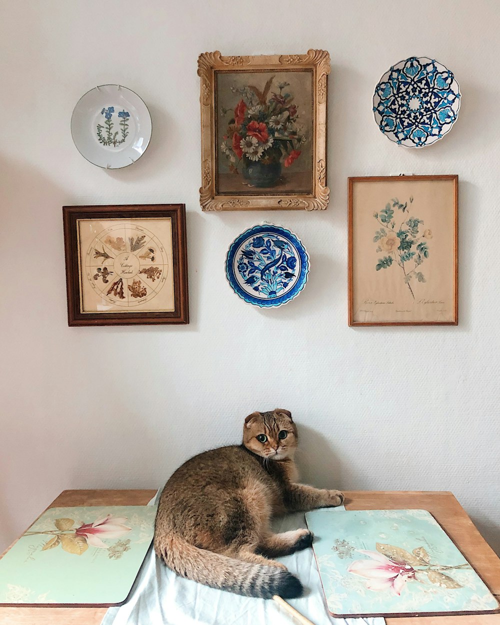 a cat sitting on top of a wooden table