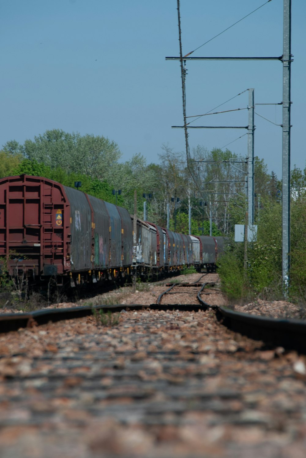 a train traveling down train tracks next to a forest