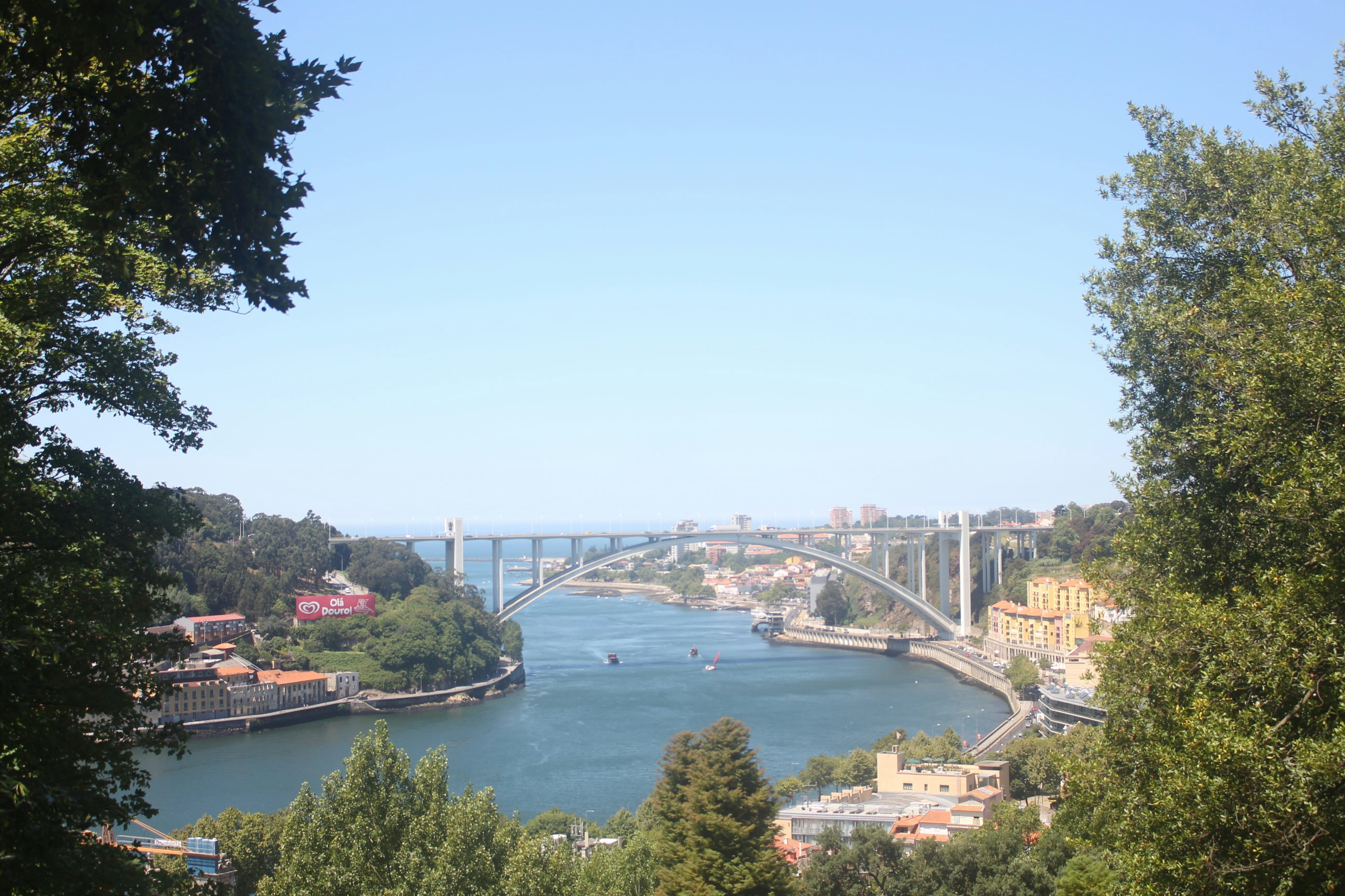 Photo by growthwithalex