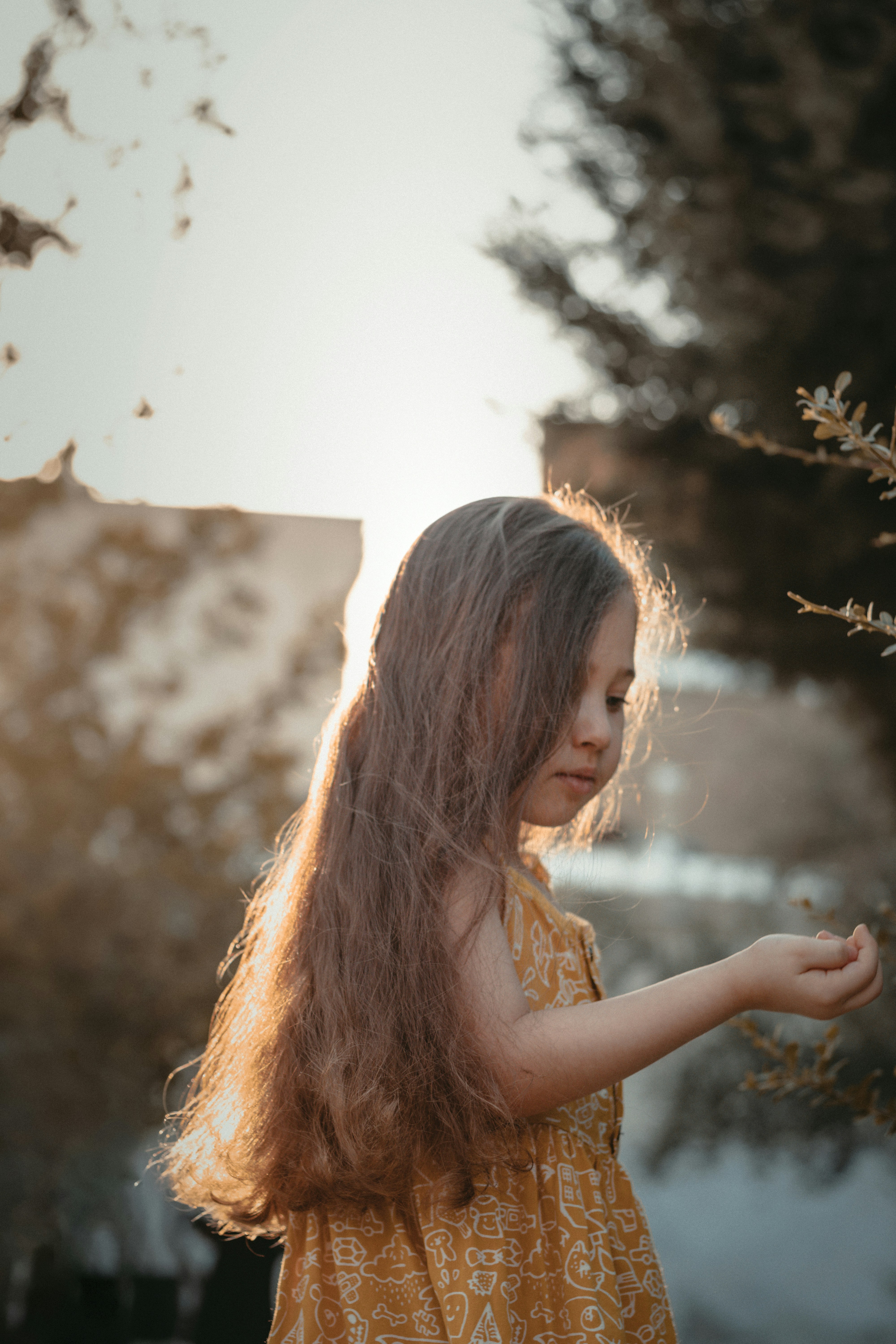 Photo by mahdibafande