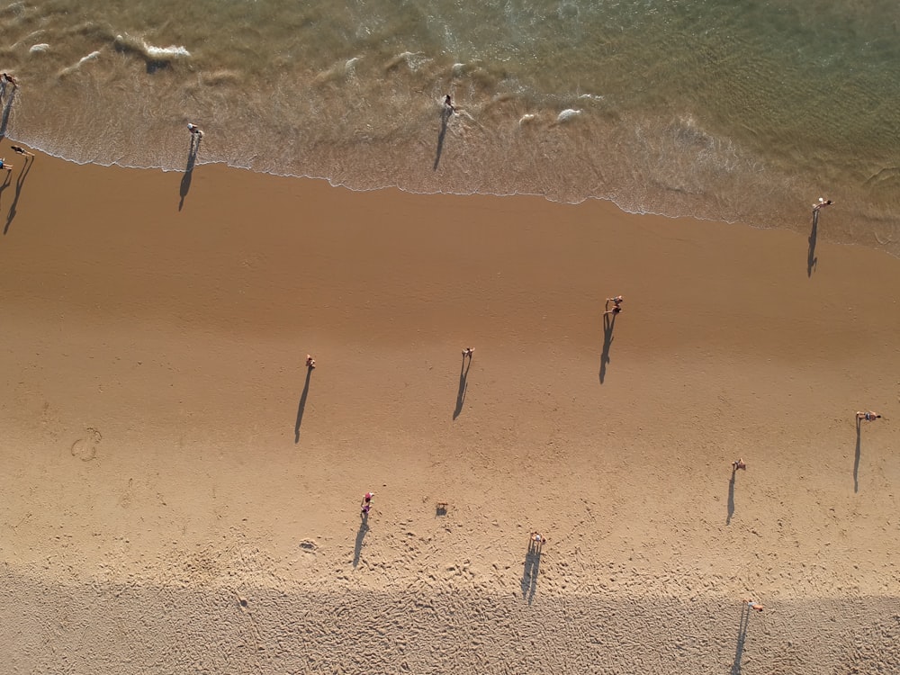 an aerial view of a beach with several poles sticking out of the sand