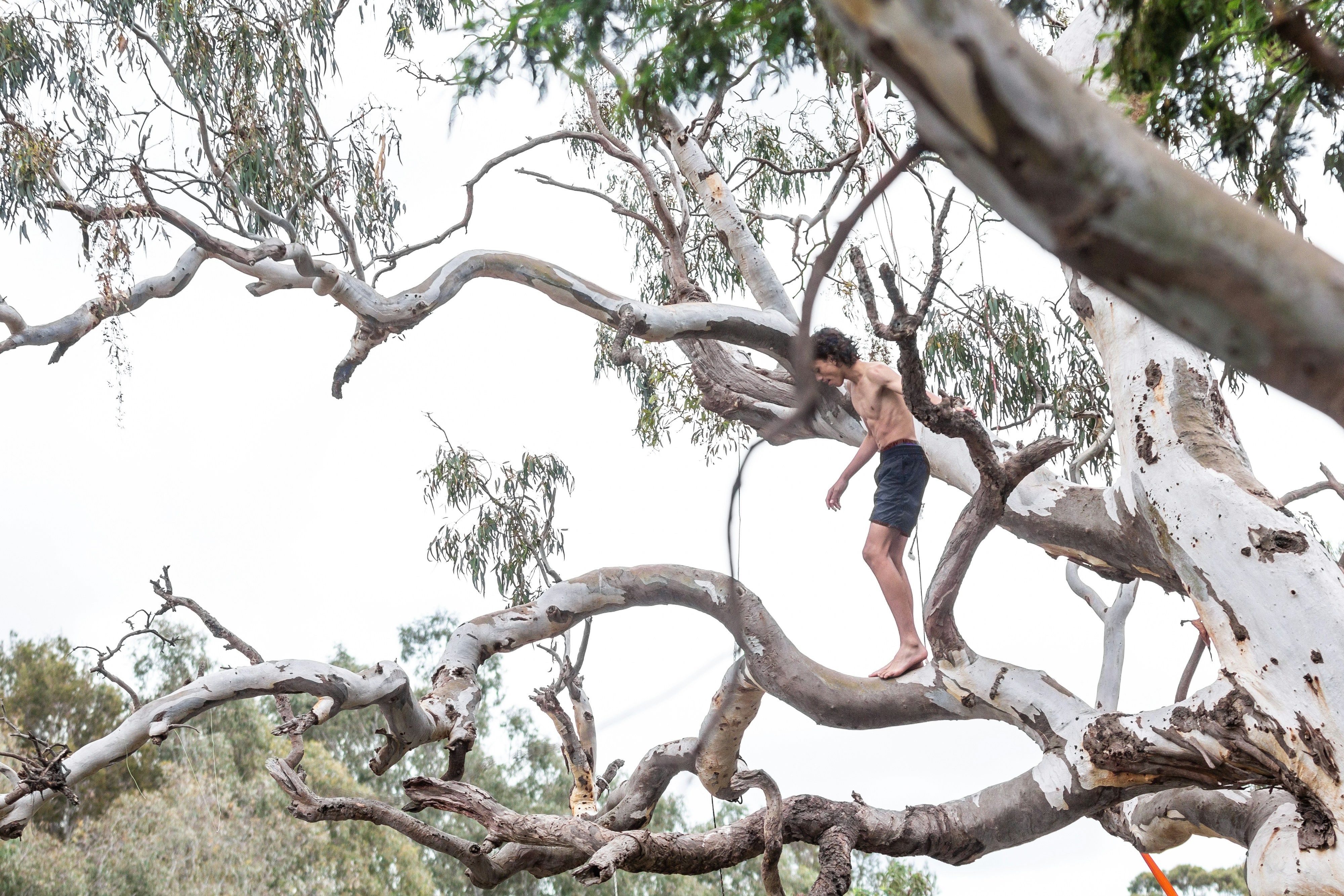A group of young 14 and 15 year old teenagers hanging out in summer Victoria Australia swimming and making a rope swing in a tree