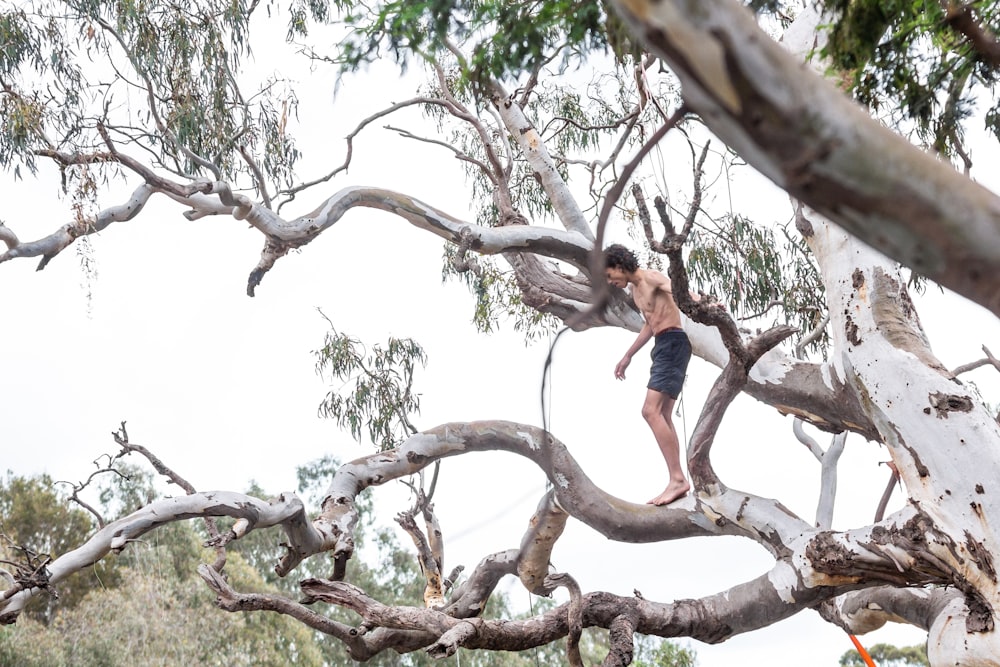 a young boy is climbing a tree branch