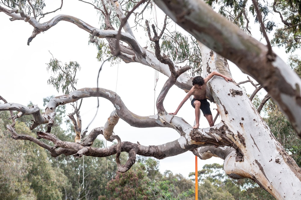 a man climbing up a tree with a rope