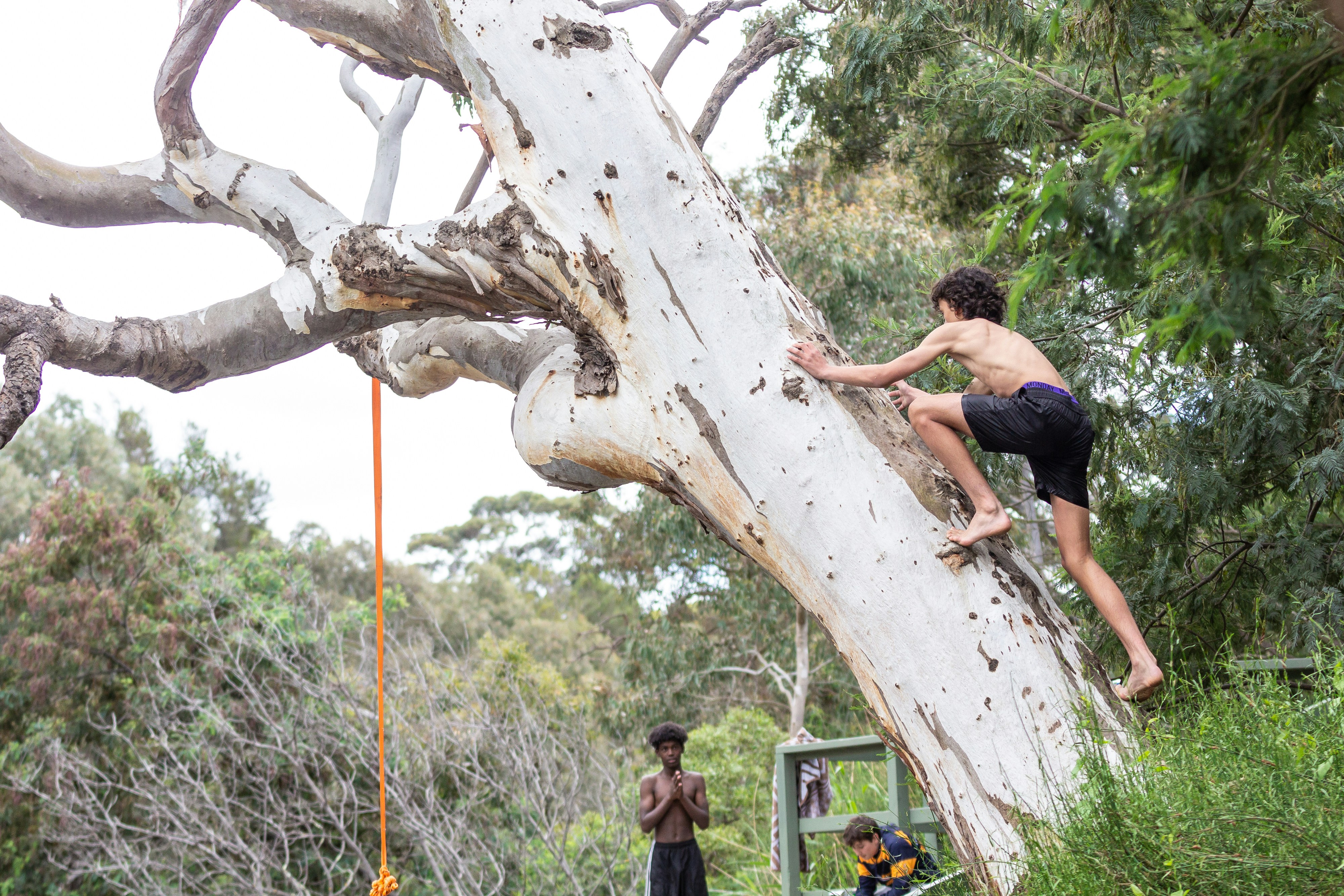 A group of young 14 and 15 year old teenagers hanging out in summer Victoria Australia swimming and making a rope swing in a tree