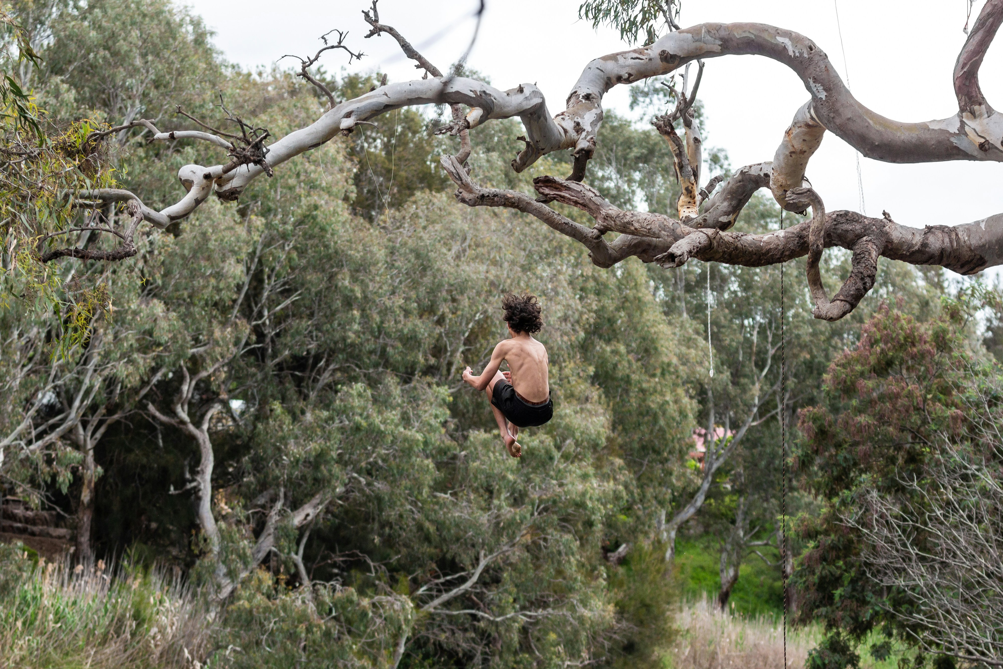 A group of young 14 and 15 year old teenagers hanging out in summer Victoria Australia swimming and making a rope swing in a tree