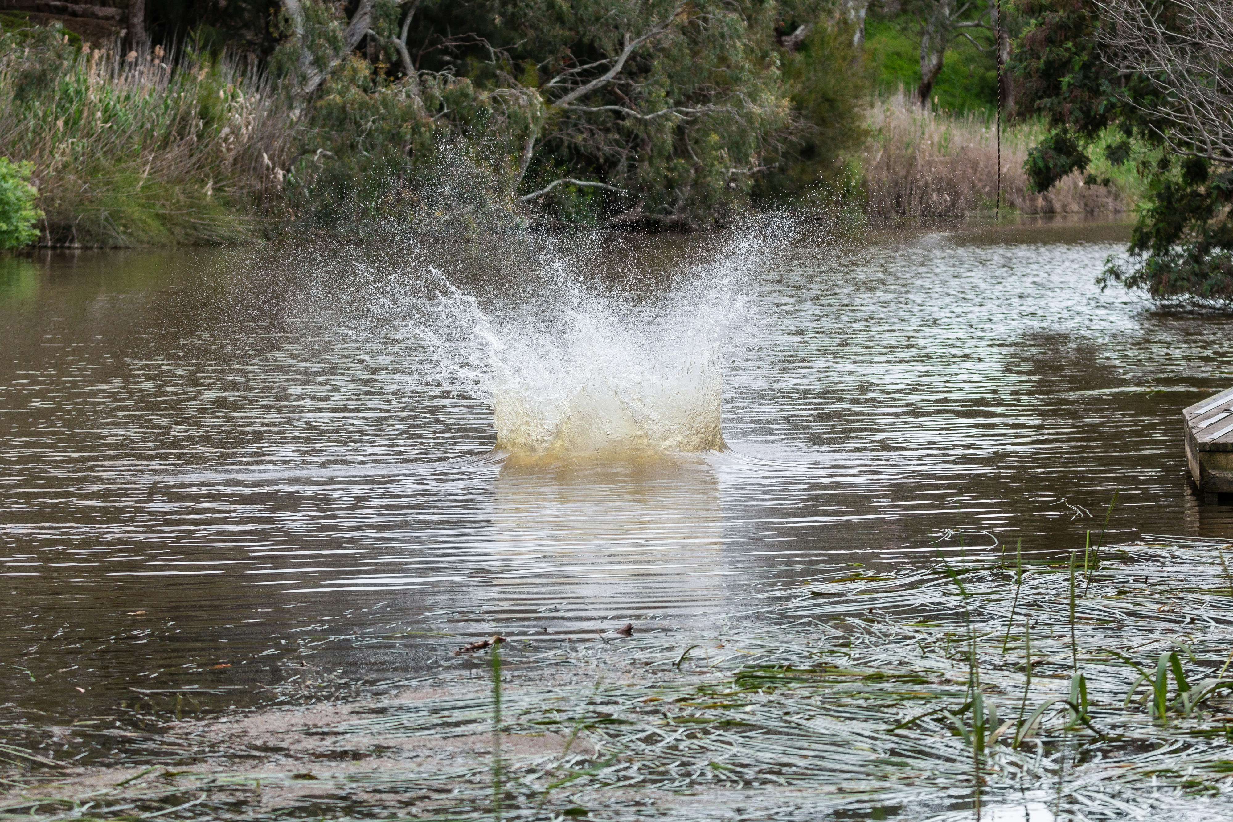 A close-up of water droplets transitioning into invisible vapor on a cooling surface - how does a swamp cooler work