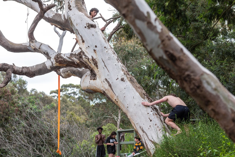 a group of people climbing up a tree