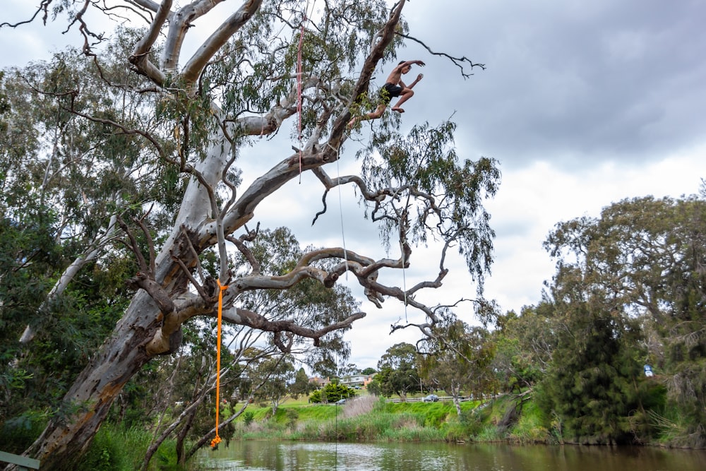 a man hanging from a tree next to a river