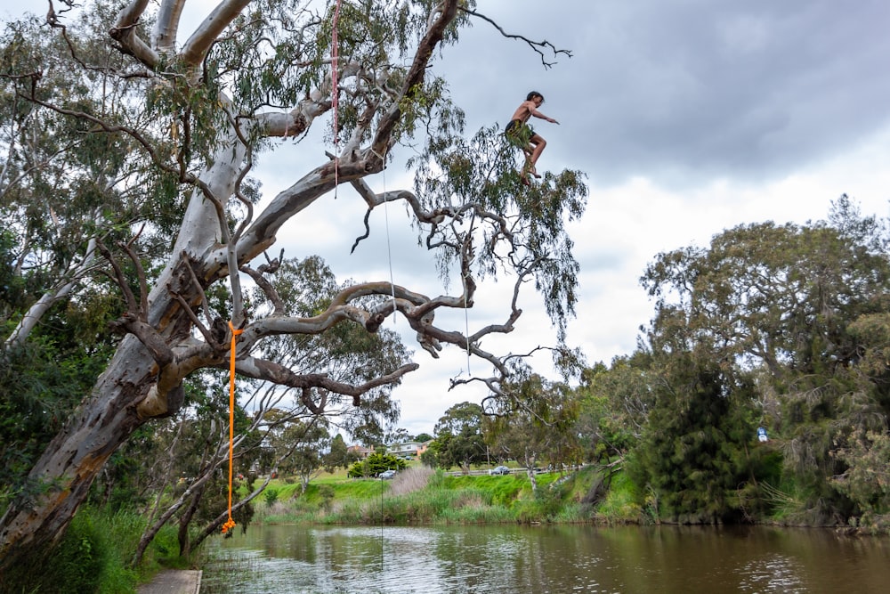a man hanging from a tree next to a river