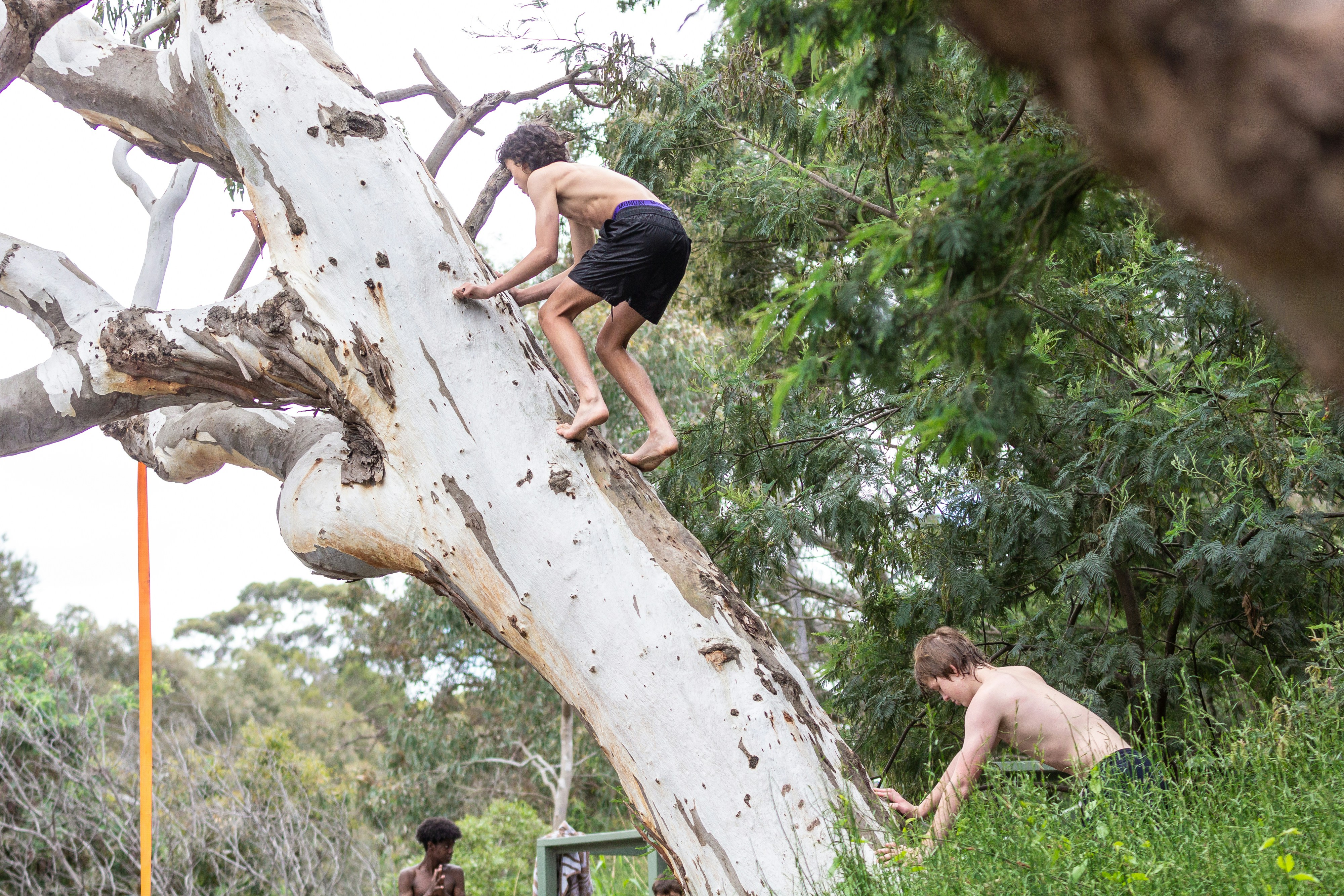 A group of young 14 and 15 year old teenagers hanging out in summer Victoria Australia swimming and making a rope swing in a tree