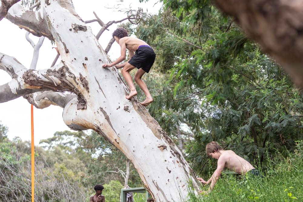 a couple of kids climbing up a tree