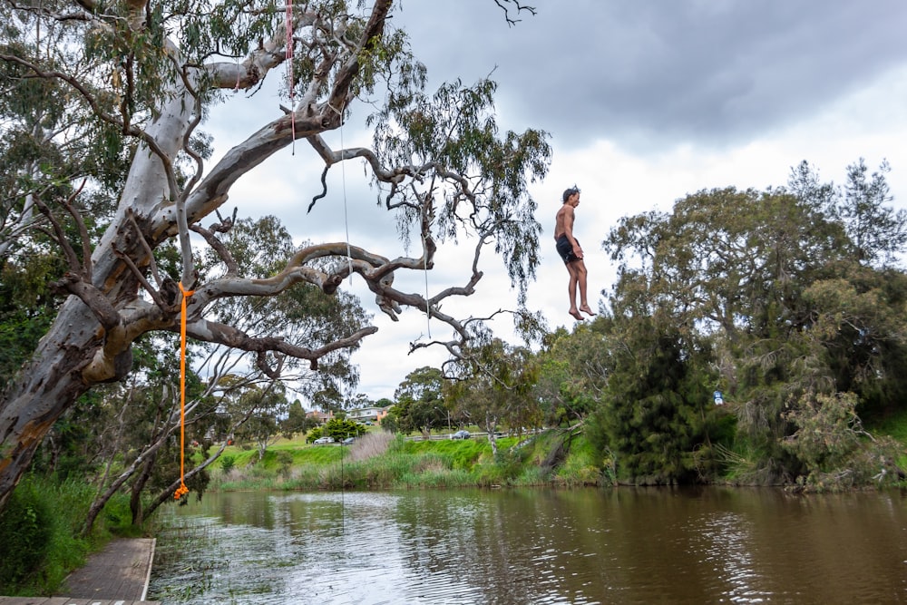 a man standing on top of a tree next to a river